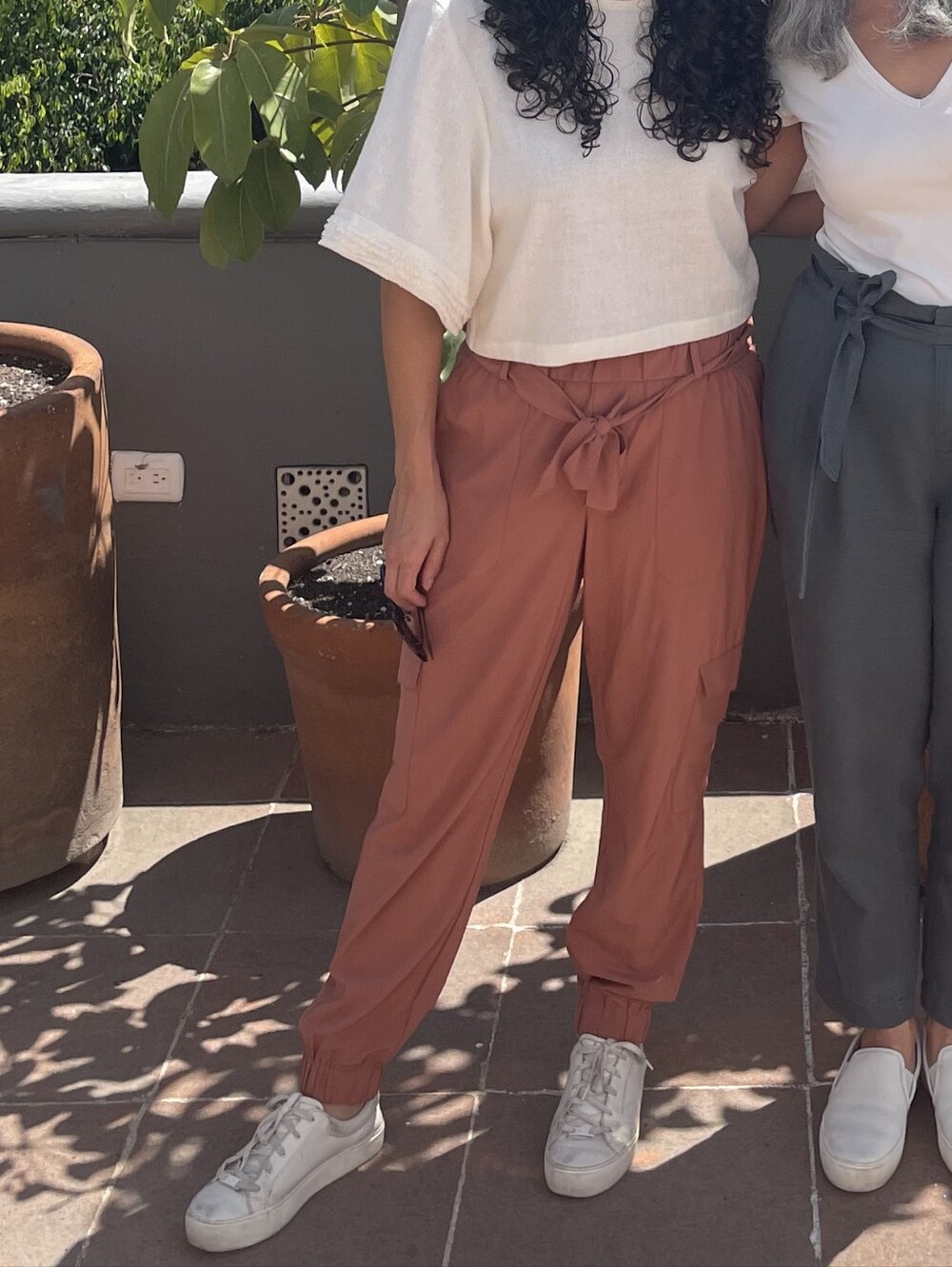 Banana Republic Cropped Ankle Pants - Terracotta